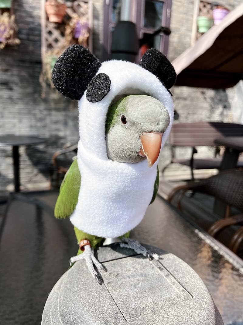 Bird Clothes - Handmade Cotton Panda Costume Hoodie Shirt Flight Suit for Parrots African Greys Parakeet Cockatiel Sun Conure Christmas Halloween Cosplay Apparel Photo Prop Bird Supplies (2XL)