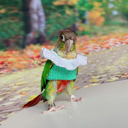 Bird Clothes - Handmade Knitted Sweater Shirt with Lace Collar Elegant Dress Flight Suit for Parrot African Greys Parakeet Cockatiel Sun Conure Parrot Apparel Bird Supplies (XS,Green)