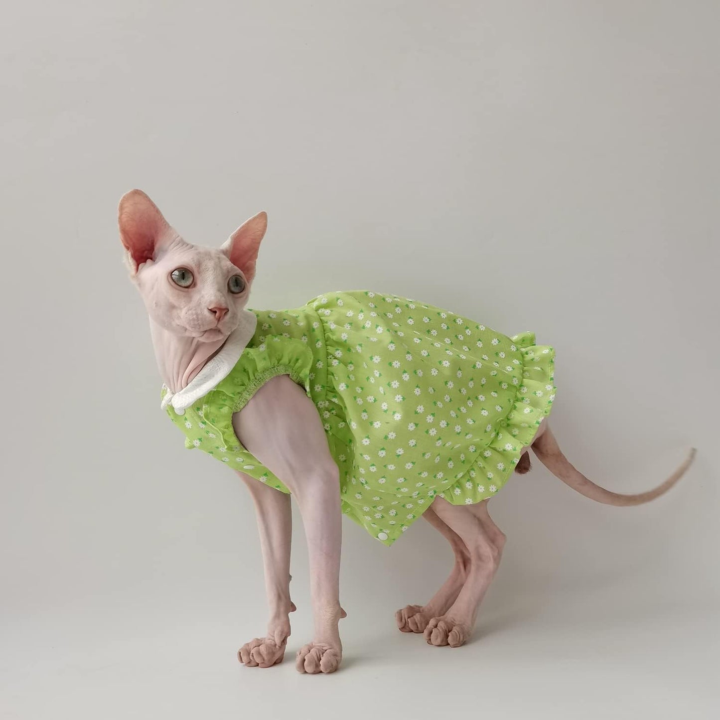 Hairless Cat Clothes - Summer Breathable Floral Suspender Skirt Round Collar Elegant Romantic Girly Dress,Cotton Vest Princess Dress for Sphynx, Cornish Rex, Devon Rex, Peterbald (M)