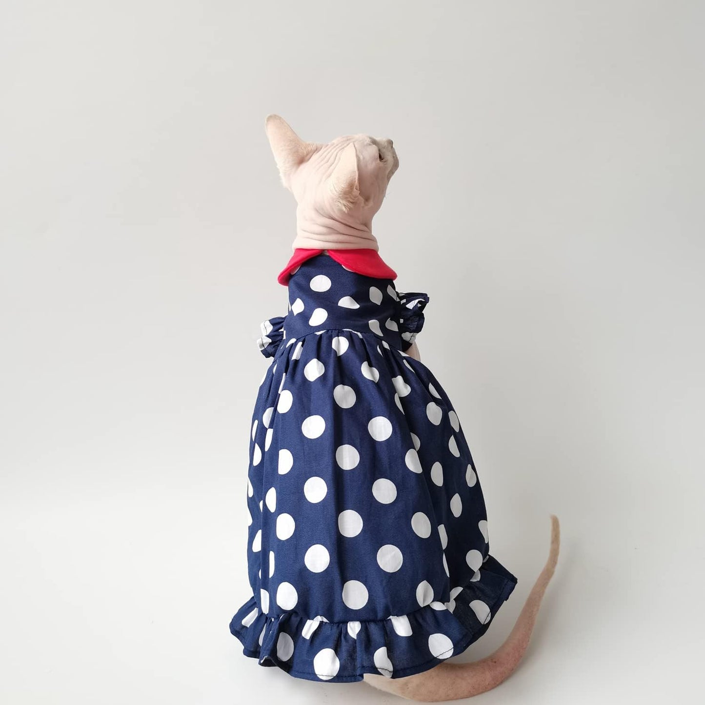 Hairless Cat Clothes - Summer Breathable Polka Dots Suspender Skirt Round Collar Elegant Romantic Girly Dress,Cotton Vest Princess Dress for Sphynx, Cornish Rex, Devon Rex, Peterbald (XL)