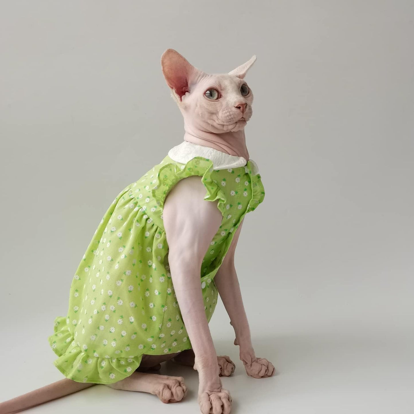 Hairless Cat Clothes - Summer Breathable Floral Suspender Skirt Round Collar Elegant Romantic Girly Dress,Cotton Vest Princess Dress for Sphynx, Cornish Rex, Devon Rex, Peterbald (M)