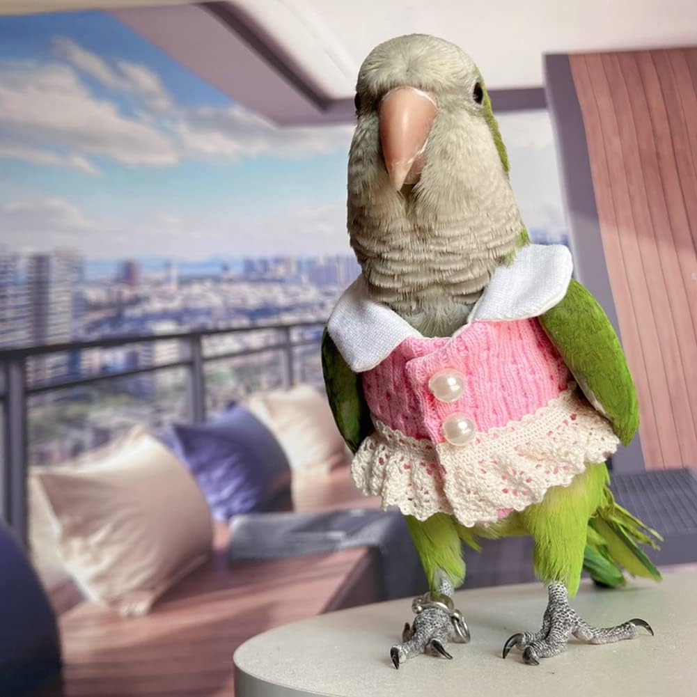 Bird Clothes - Handmade Knitted Sweater with Lace Pearl Button Dress Flight Suit for Parrots African Greys Parakeet Cockatiel Sun Conure Parrot Cosplay Apparel Bird Supplies (S)