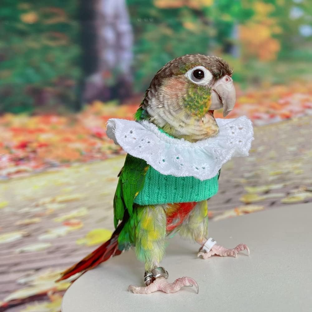 Bird Clothes - Handmade Knitted Sweater Shirt with Lace Collar Elegant Dress Flight Suit for Parrot African Greys Parakeet Cockatiel Sun Conure Parrot Apparel Bird Supplies (XS,Green)