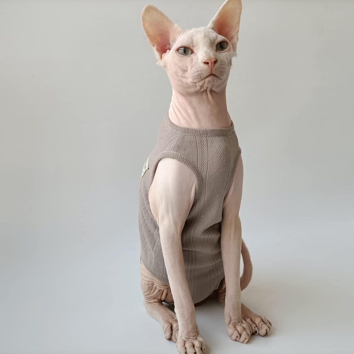 Sphynx Cat Clothes - 4 Leg Breathable Summer Cotton Sleeveless T-Shirts Cat Wear Clothes Vest Pajamas for Cats and Small Dogs Apparel for Sphynx, Cornish Rex, Devon Rex, Peterbald (XS,Brown)