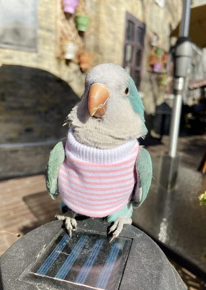 Bird Clothes - Handmade Cotton Stripe Shirt Round Collar Sweater