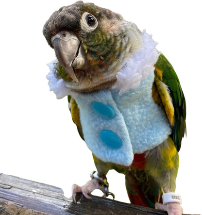 Bird Clothes - Handmade Winter Warm Sweater with Fur Collar Flight Suit for Parrot African Greys Parakeet Cockatiel Sun Conure Christmas Halloween Cosplay Apparel Photo Prop Bird Supplies (L,Blue)