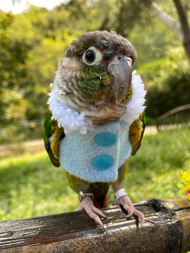 Bird Clothes - Handmade Winter Warm Sweater with Fur Collar Flight Suit for Parrot African Greys Parakeet Cockatiel Sun Conure Christmas Halloween Cosplay Apparel Photo Prop Bird Supplies (L,Blue)