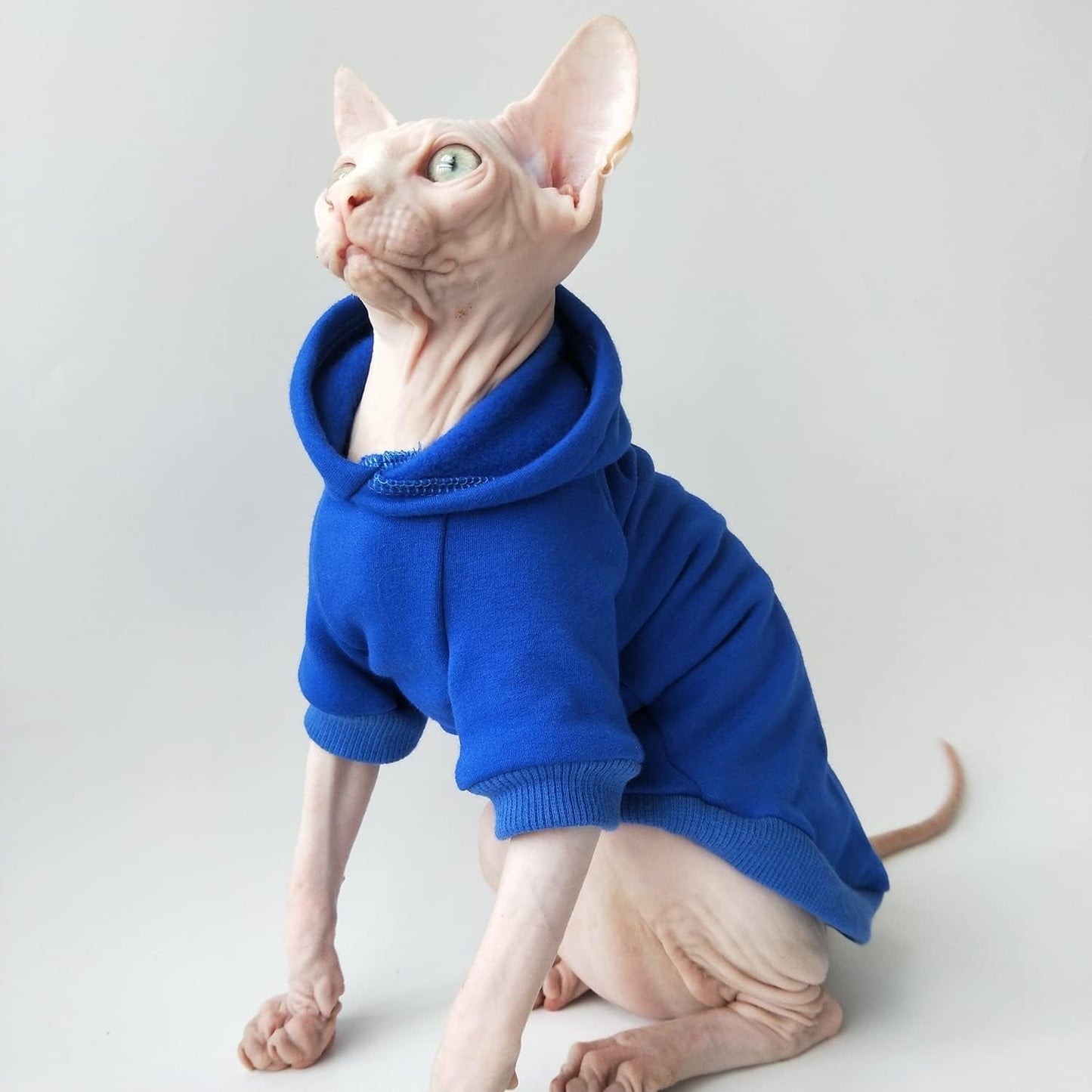 Hairless Cats Clothes - Winter Autumn Solid Soft Warm Hoodies Cotton Cat Wear Sweatshirt Pullover Jumpsuit for Sphynx, Cornish Rex, Devon Rex, Peterbald, Hairless Cats Dogs Apparel (XXL,Blue)