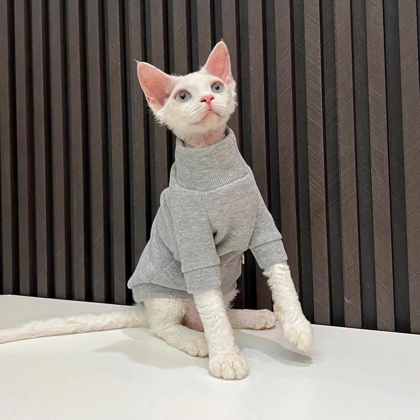 Hairless Cats Clothes - Turtleneck Cotton Sweater Shirt Winter Warm Cat Wear Coat Shirt Jumpsuit Clothes for Sphynx, Cornish Rex, Devon Rex, Peterbald, Hairless Cats Apparel (M+,Grey)