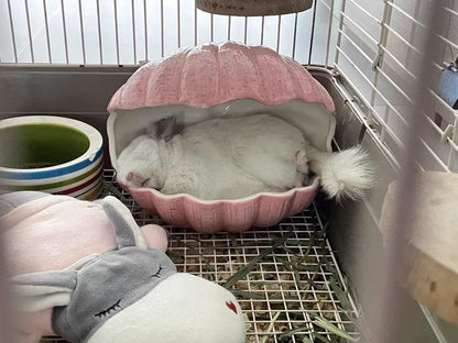 Small Animal Hideout Extra Large Ceramic Shell Shape Guinea Pig House Chinchilla Igloo Habitat Hut Cave Summer Bed Cage