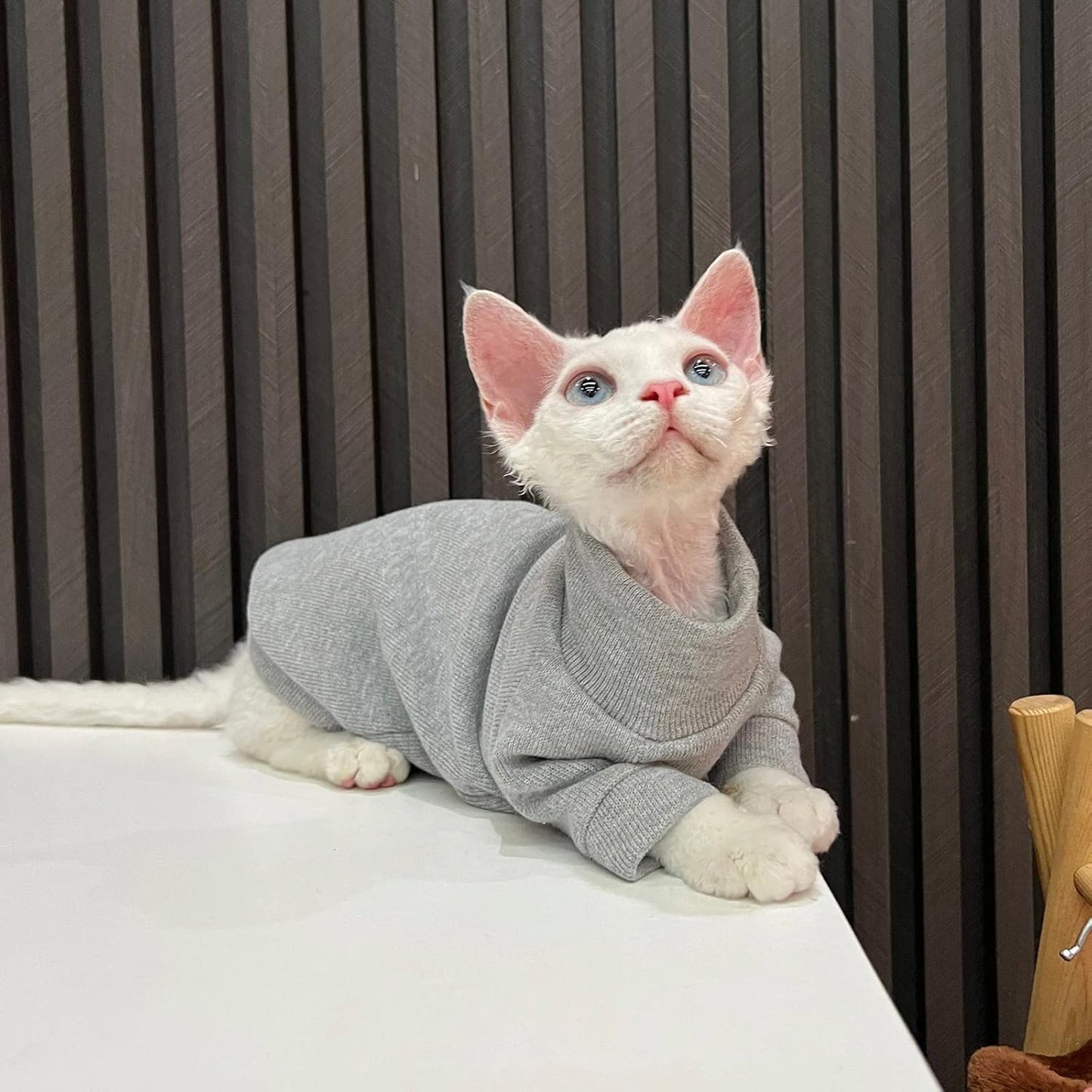 Hairless Cats Clothes - Turtleneck Cotton Sweater Shirt Winter Warm Cat Wear Coat Shirt Jumpsuit Clothes for Sphynx, Cornish Rex, Devon Rex, Peterbald, Hairless Cats Apparel (M+,Grey)