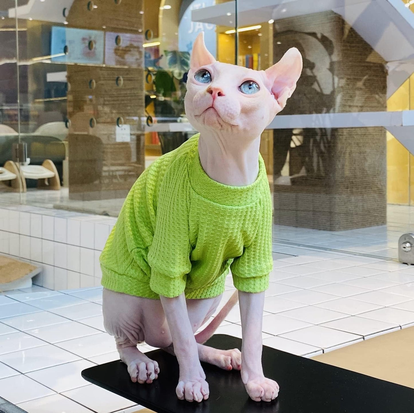 Sphynx Cat Clothes Breathable Summer Cotton Pure Green T-Shirts Pullover Cat Wear Clothes Vest Pajamas for Cats and Small Dogs Apparel for Sphynx, Cornish Rex, Devon Rex, Peterbald (M-)