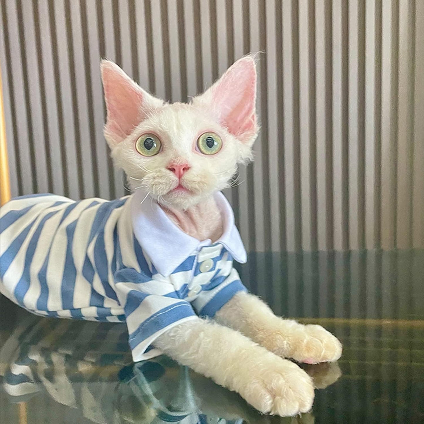 Hairless Cat T-Shirt Breathable Summer Cotton Stripe Shirts Short Sleeve Button Closure Turn Down Collar Cat Clothes Vest Apparel for Sphynx, Cornish Rex, Devon Rex, Peterbald (L+)