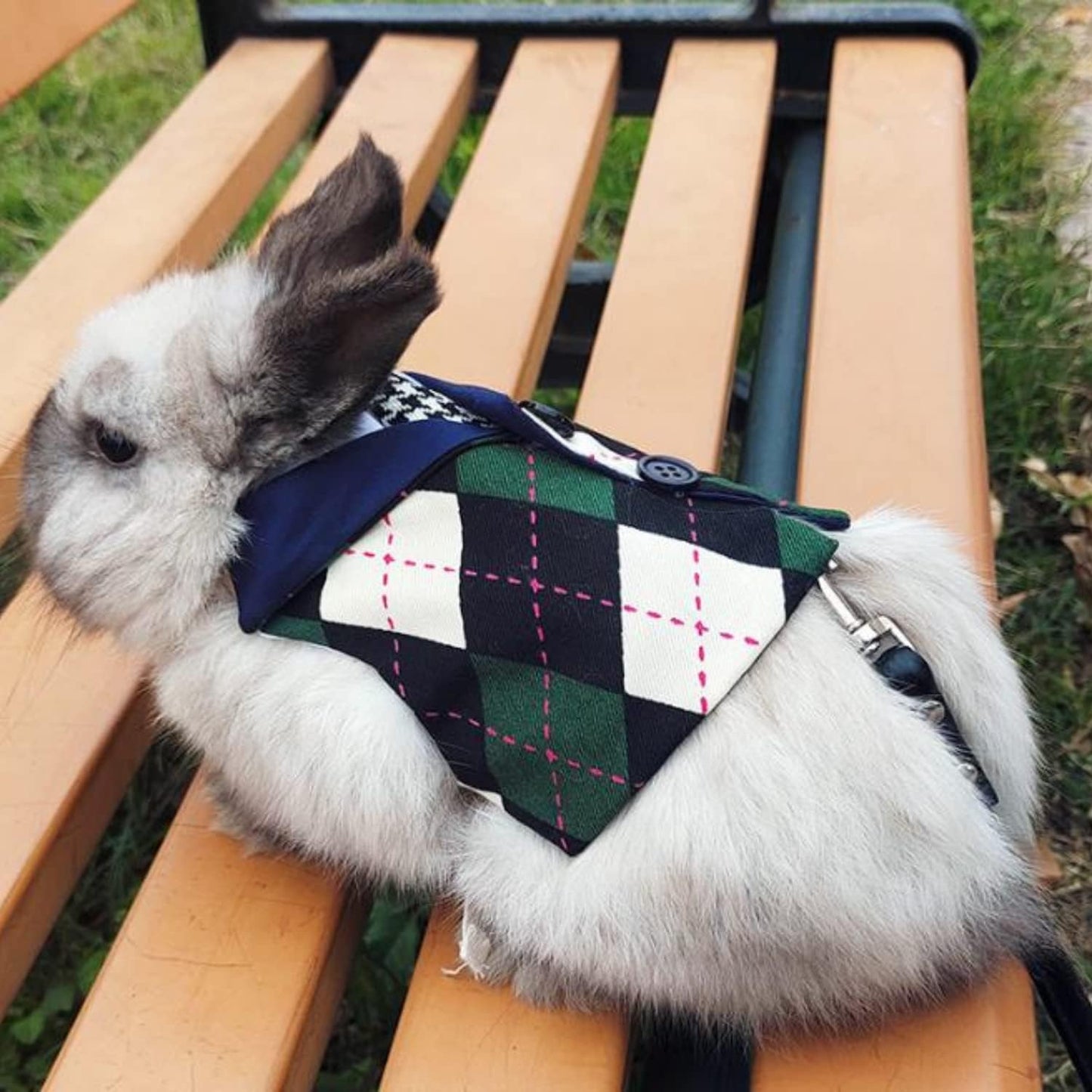 Rabbit Clothes - Argyle Plaid Harness with Tie Adjustable Bunny Vest Halloween Cosplay Wedding Party Holiday Daily Wear Walking Harness Clothes for Bunny Kitten Puppy Chinchilla Guinea Pig (Green, M)