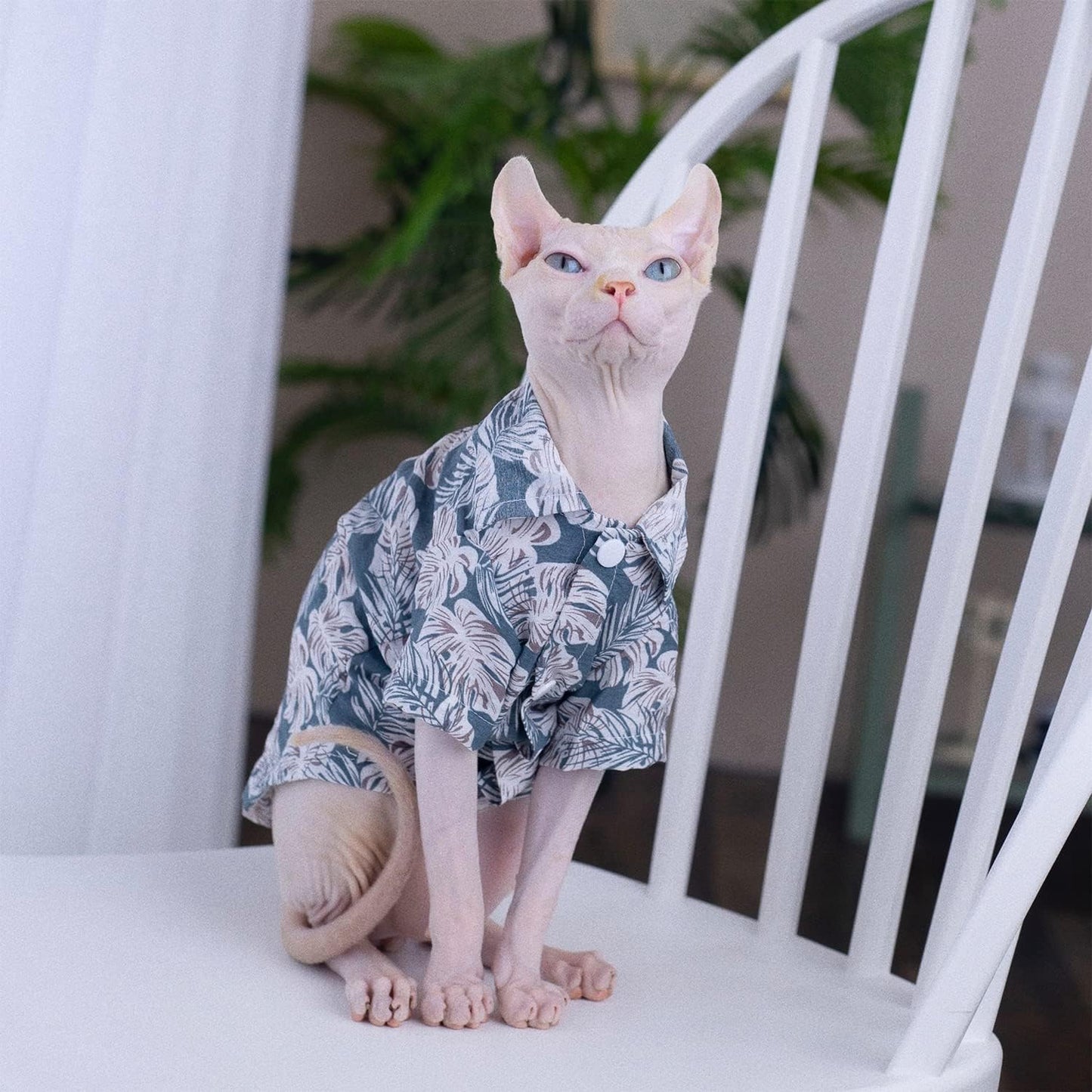 Hairless Cat T-Shirt Breathable Summer Cotton Hawaiian Shirts Short Sleeve Button Closure Turn Down Collar Leaf Print Cat Clothes Vest Apparel for Sphynx, Cornish Rex, Devon Rex, Peterbald (L+)