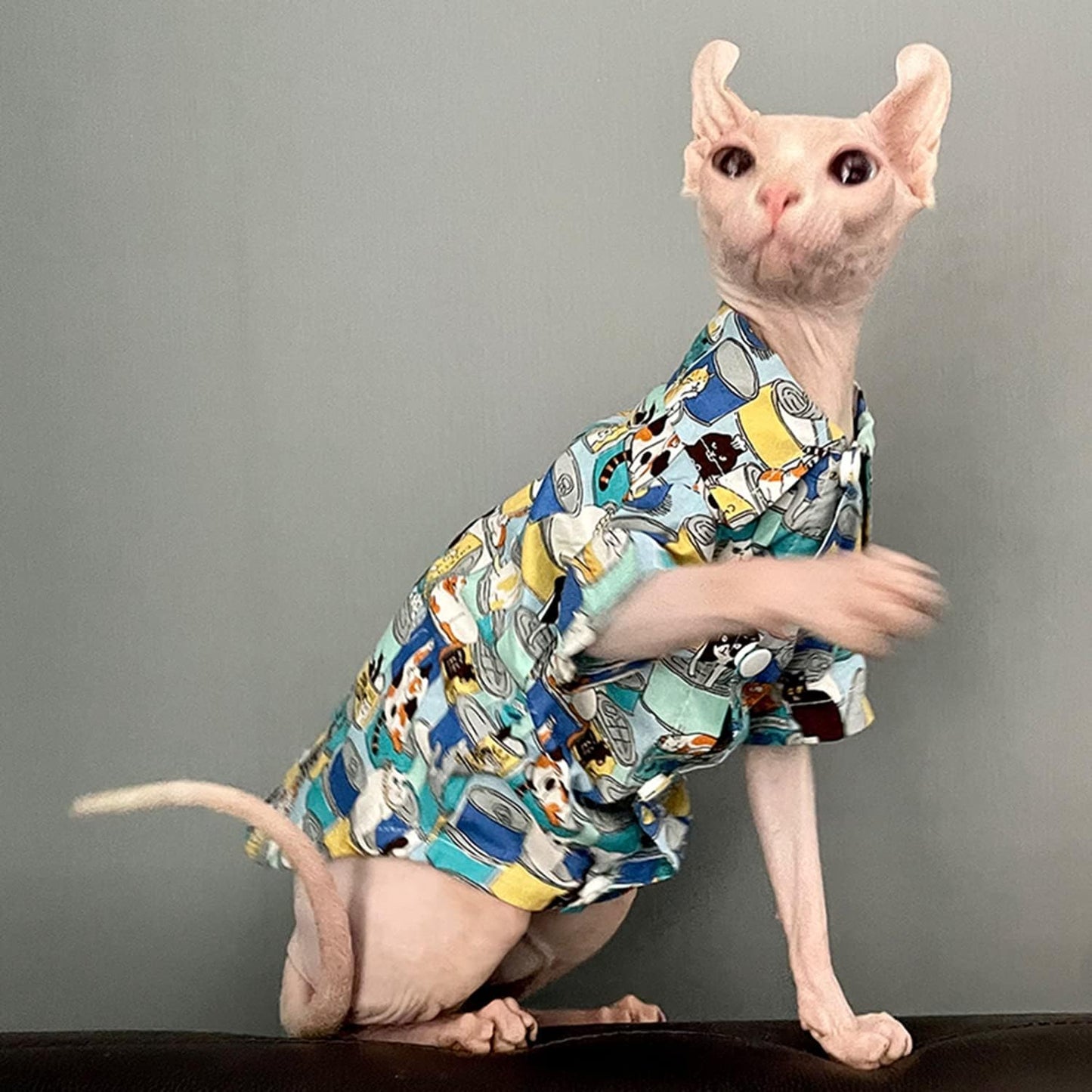 Hairless Cat T-Shirt Breathable Summer Cotton Shirts Short Sleeve Button Closure Turn Down Collar Animal Print Cat Clothes Vest Apparel for Sphynx, Cornish Rex, Devon Rex, Peterbald (XXL-)