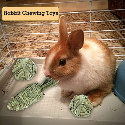 13 Pack Rabbit Bunny Chew Toys for Small Animals - Bunny Natural Hay Activity Balls Rabbit Apple Sticks Sweet Bamboo Timothy Hay Sticks Grass Carrots for Hamster Guinea Pig Dental Health