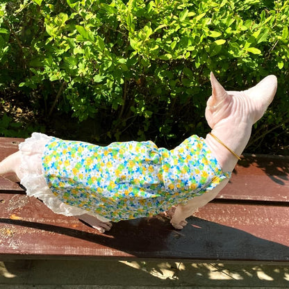 Hairless Cat Clothes - Breathable Summer Cotton Sundress with Lace Decor Camisole Skirt Elegant Romantic Girly Vest Soft Strap Tank Tops for Sphynx, Cornish Rex, Devon Rex, Peterbald (M,Yellow)