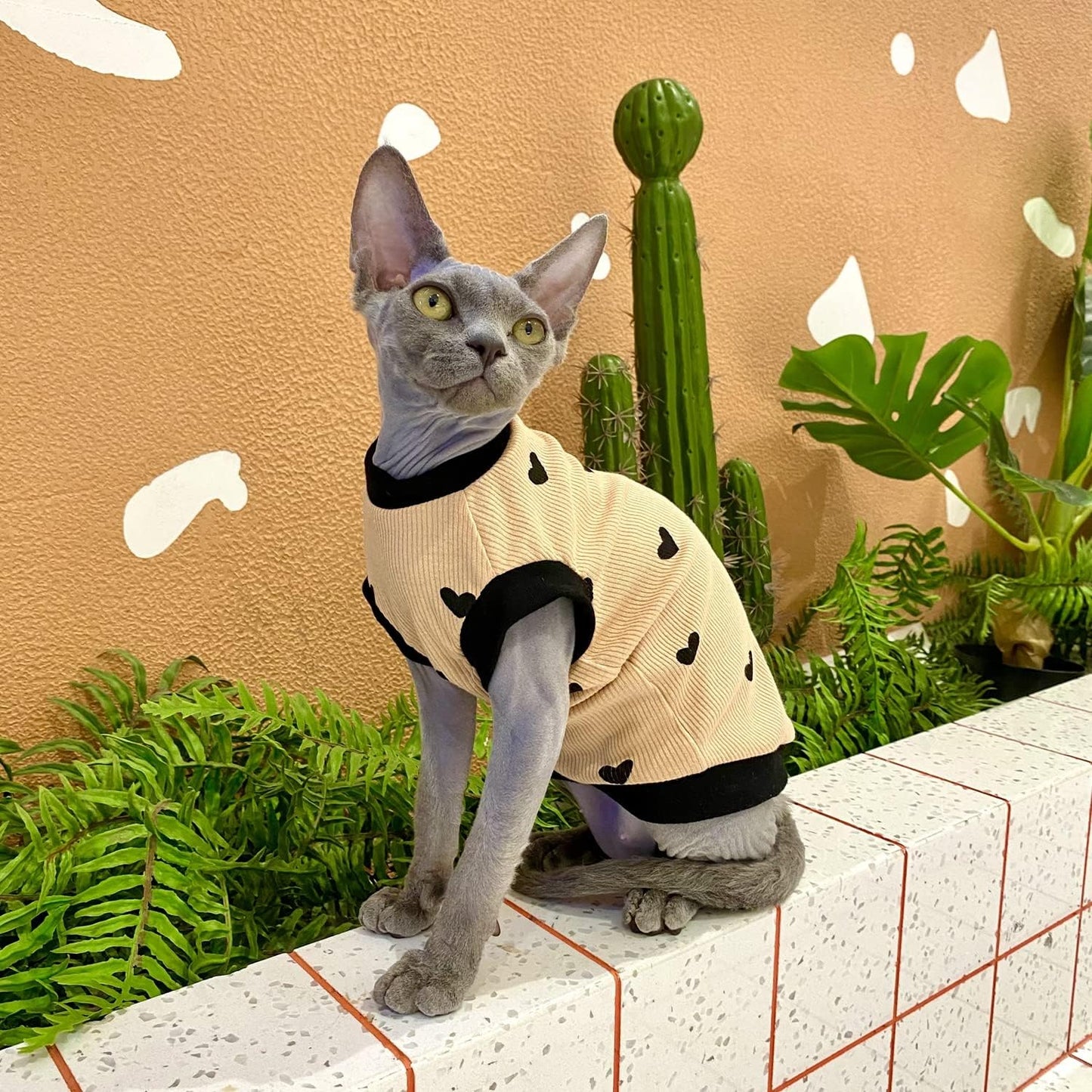 Sphynx Cat Clothes Breathable Summer Cotton Elastic T-Shirts with Heart Print Cat Wear Clothes Vest Pajamas Apparel for Sphynx, Cornish Rex, Devon Rex, Peterbald (S+)