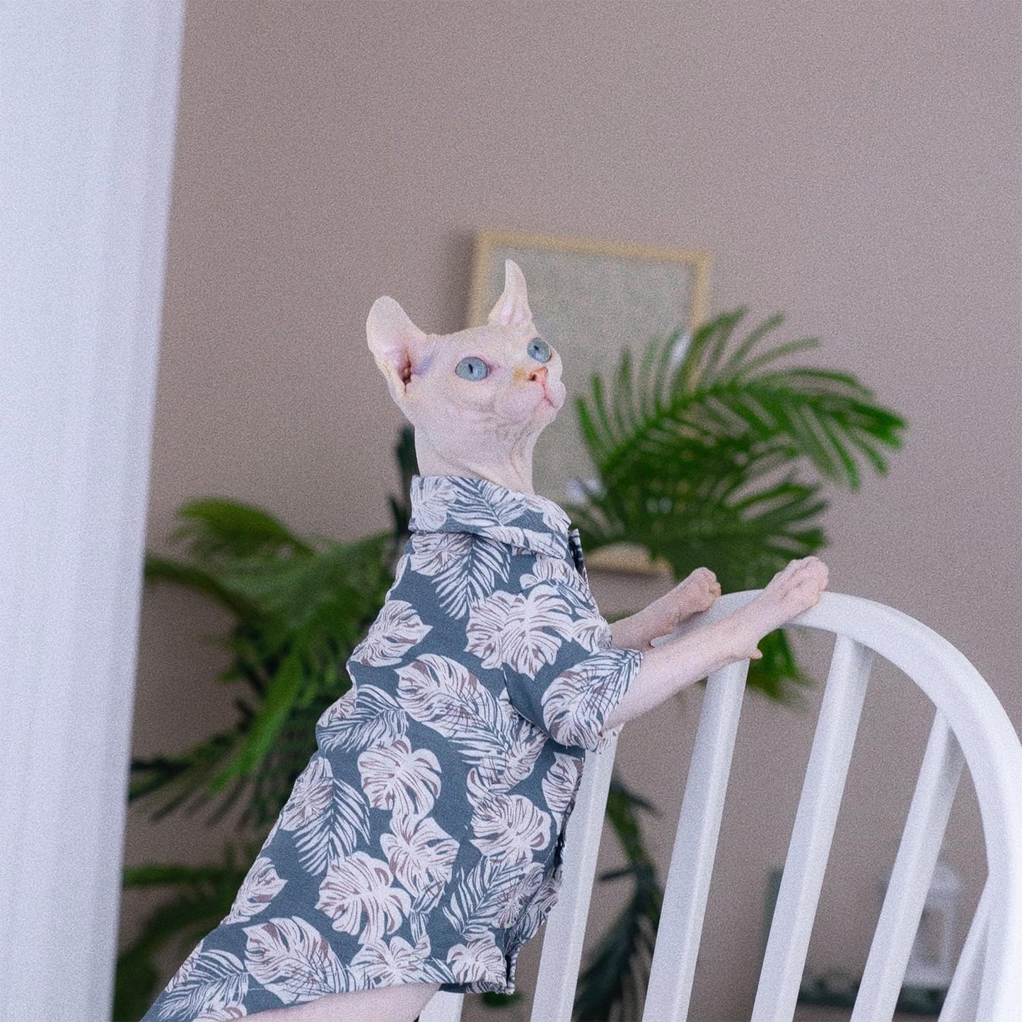 Hairless Cat T-Shirt Breathable Summer Cotton Hawaiian Shirts Short Sleeve Button Closure Turn Down Collar Leaf Print Cat Clothes Vest Apparel for Sphynx, Cornish Rex, Devon Rex, Peterbald (L+)