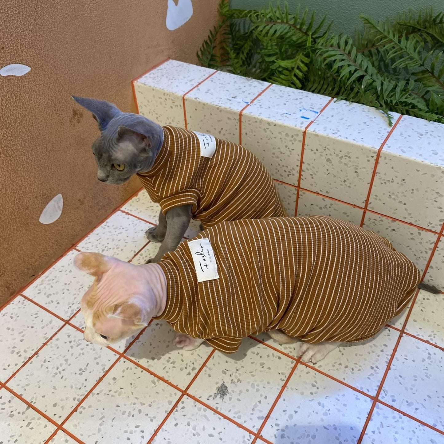 Sphynx Cat Clothes Breathable Summer Cotton Elastic T-Shirts with Stripe Print Round Collar Cat Wear Clothes Vest Pajamas Apparel for Sphynx, Cornish Rex, Devon Rex, Peterbald (M+)